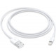 Apple Cable Lightning vers USB (1 m)