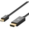 Rankie Câble Mini DisplayPort (Thunderbolt) (Mini DP) vers HDMI, 4K, 1,8m, Noir